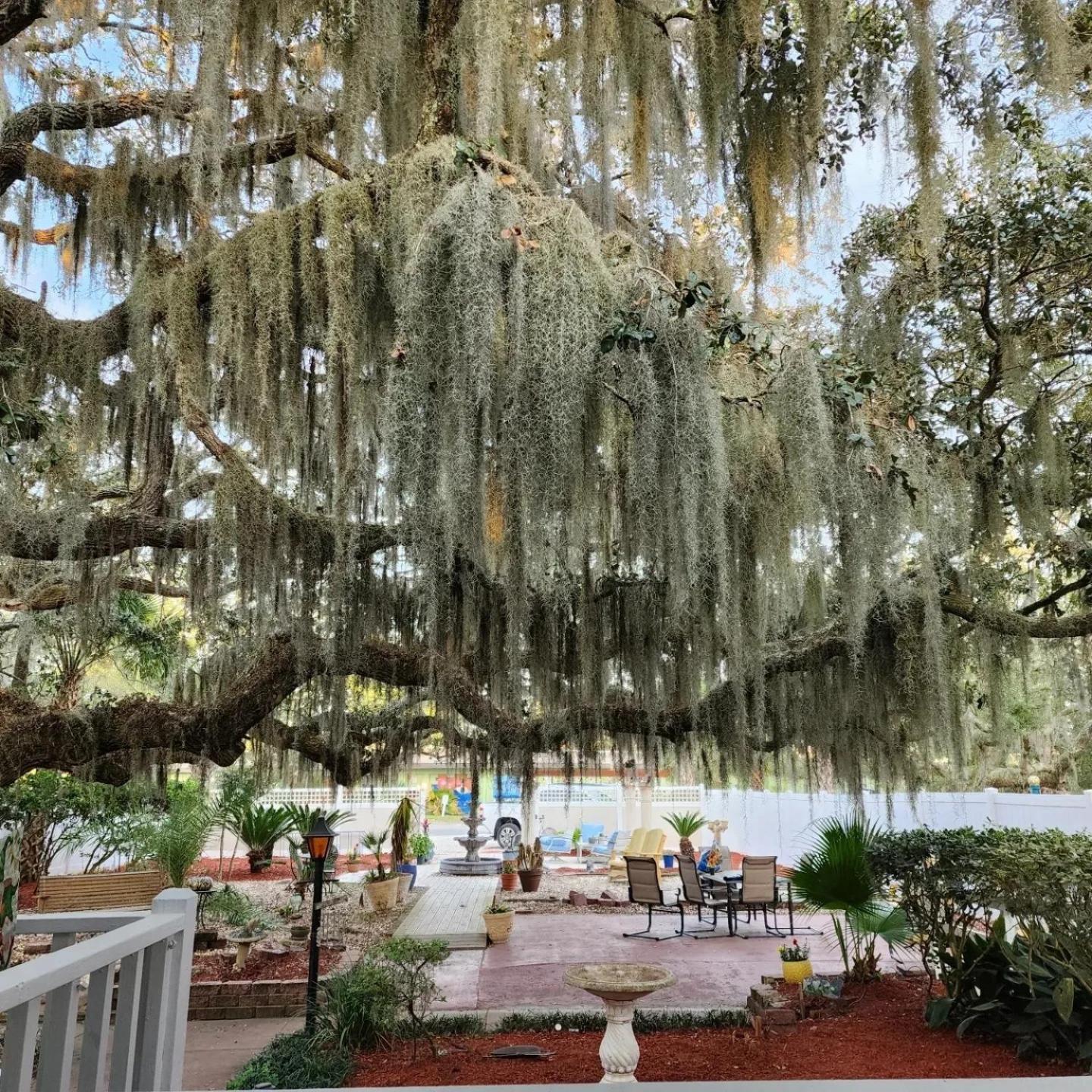 Tybee Island Inn Bed & Breakfast Exterior photo